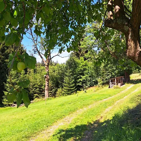 Dağ evi Horska Kristynka Kořenov